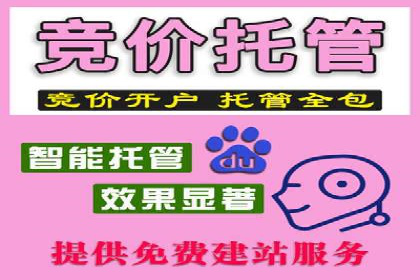 案例分享：竞价SEM托管助力企业品牌建设